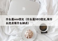 什么是seo优化（什么是SEO优化,有什么优点有什么缺点）