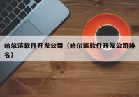 哈尔滨软件开发公司（哈尔滨软件开发公司排名）