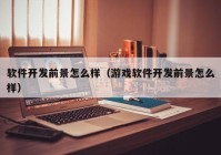 软件开发前景怎么样（游戏软件开发前景怎么样）